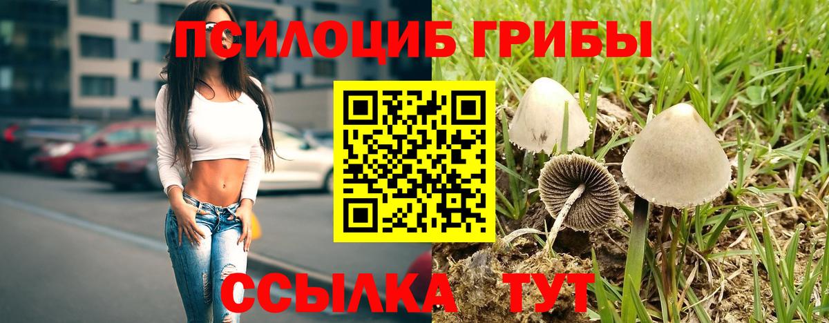 Псилоцибиновые грибы MAGIC MUSHROOMS Северодвинск