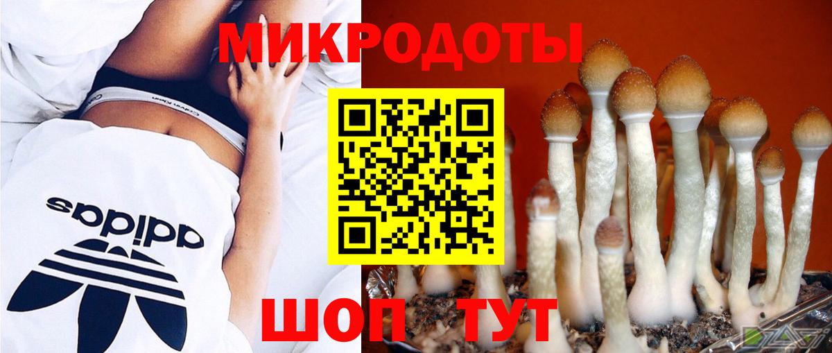 Северодвинск  Псилоцибиновые грибы Psilocybine cubensis  Псилоцибиновые грибы GOLDEN TEACHER  Вход с VPN 
